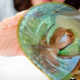 Image for article titled It's 2016, So Where Are Our Flexible Electronics?